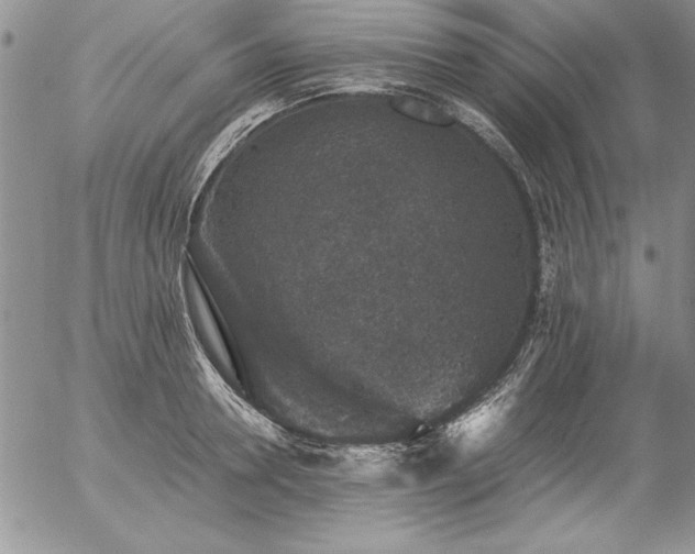 X0000057080946200509091244