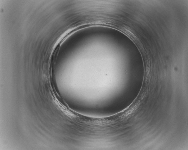 X0000057080948200509091244