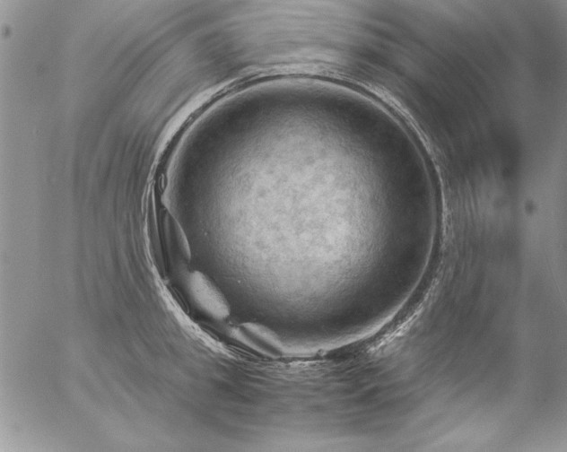 X0000057080949200509091244