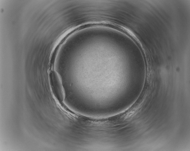 X0000057080951200509091244