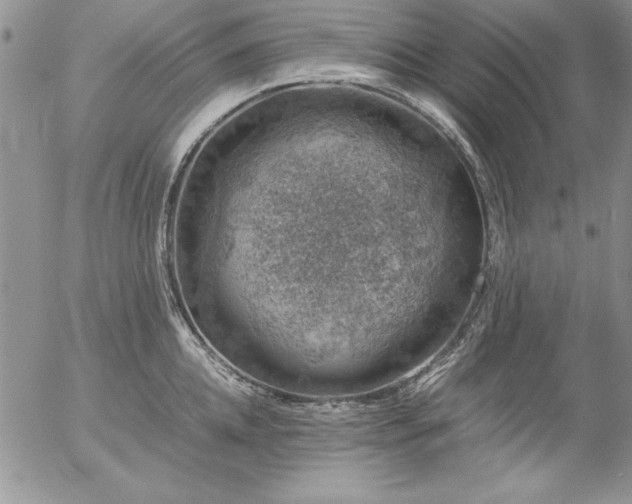 X0000057080952200509091244