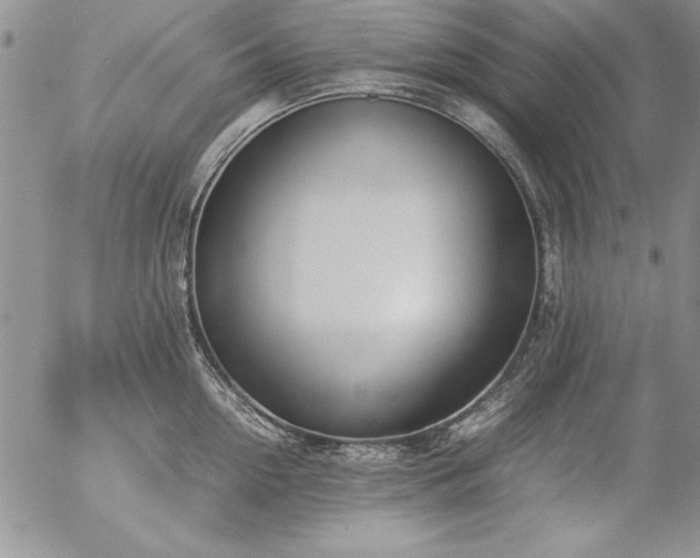 X0000057080954200509091244