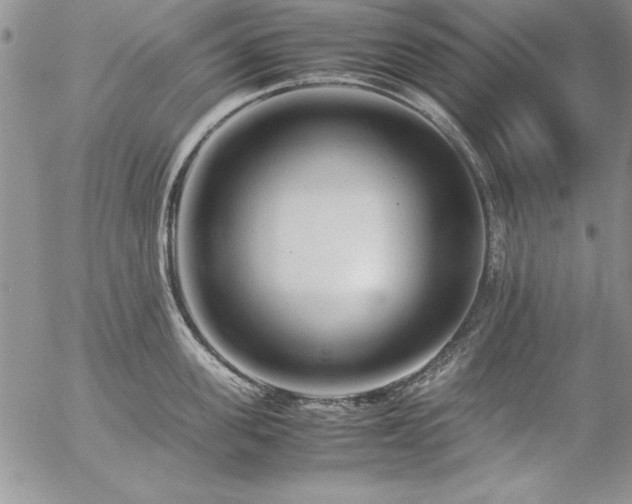 X0000057080955200509091244