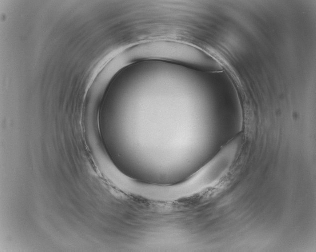 X0000057080956200509091244