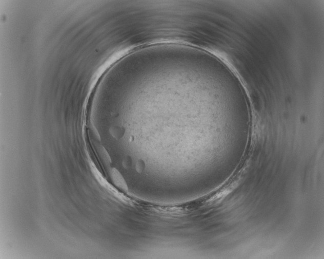 X0000057080957200509091244