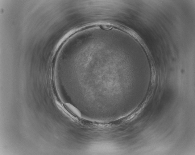 X0000057080958200509091244