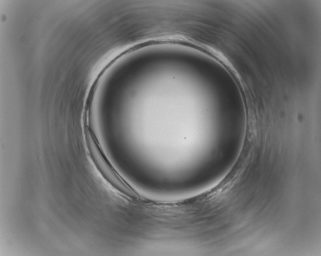 X0000057080959200509091244