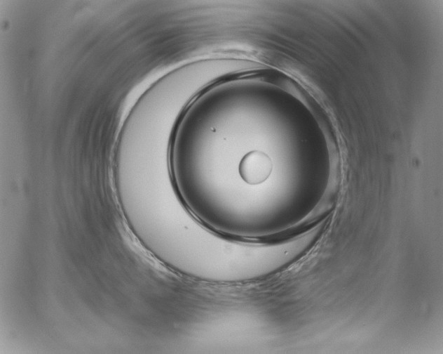 X0000057080960200509091244