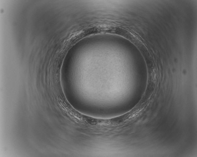 X0000057080961200509091244