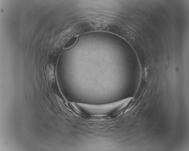 X0000057080963200509091244