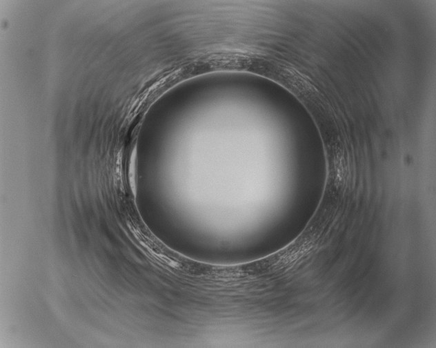 X0000057080964200509091244