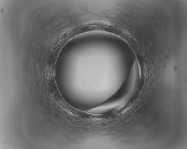 X0000057080965200509091244