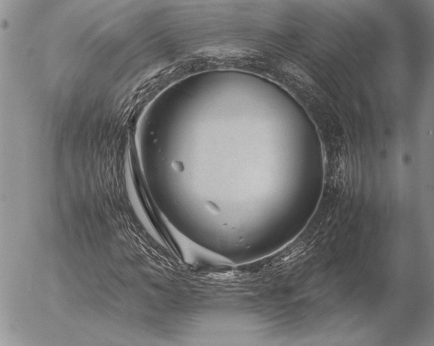 X0000057080966200509091244