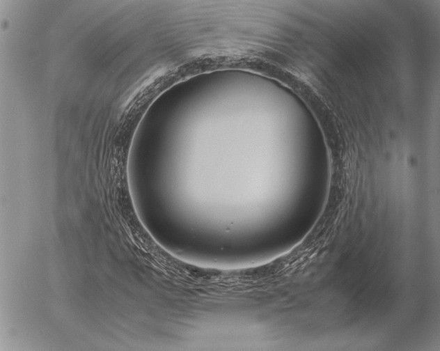 X0000057080967200509091244