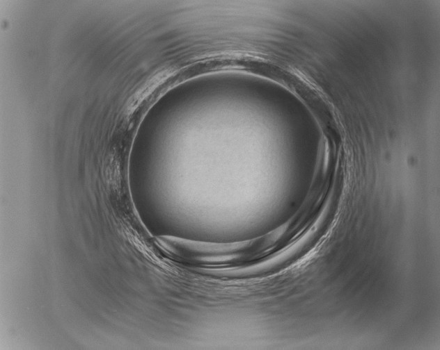 X0000057080969200509091244