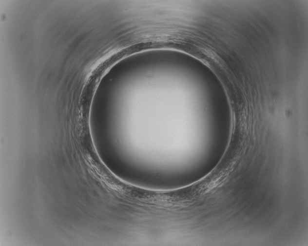 X0000057080971200509091244