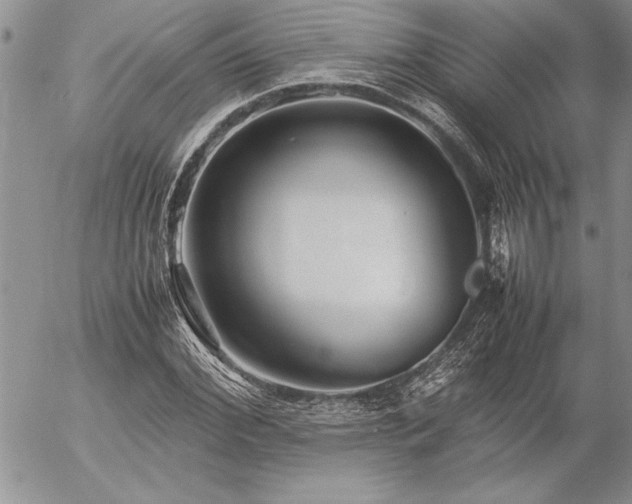 X0000057080972200509091243