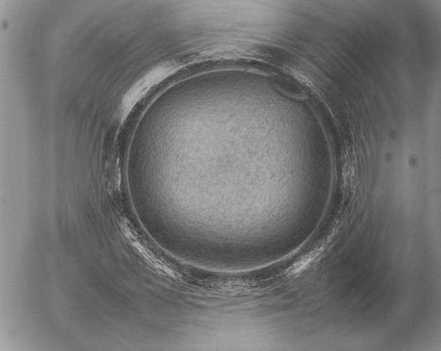 X0000057080973200509091243