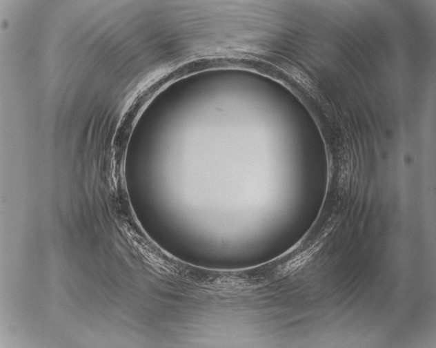 X0000057080974200509091243