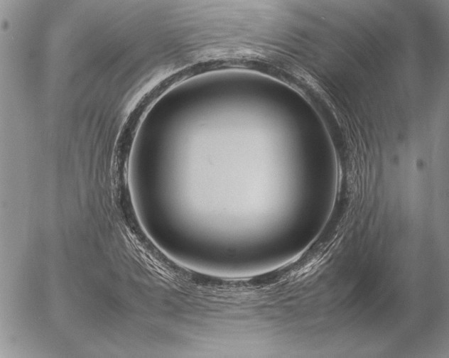 X0000057080975200509091243