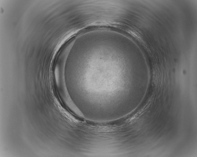 X0000057080976200509091243