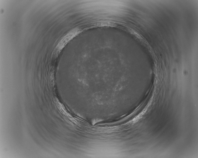 X0000057080977200509091243