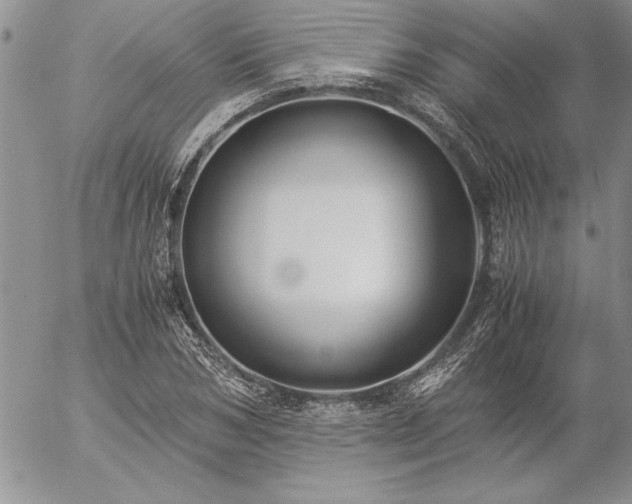 X0000057080978200509091243