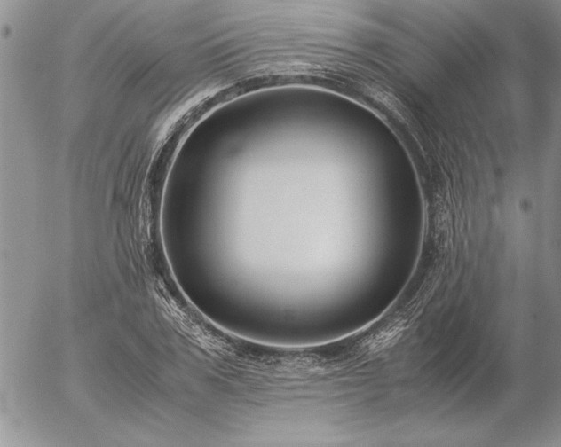 X0000057080979200509091243