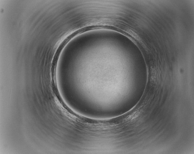 X0000057080980200509091243