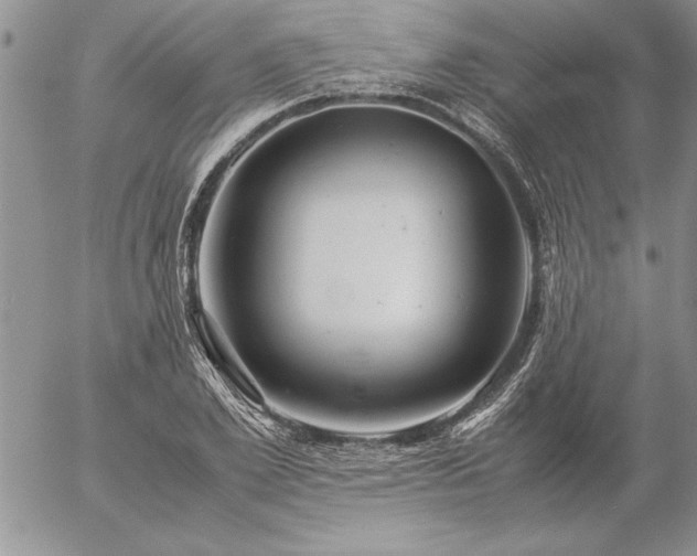 X0000057080981200509091243