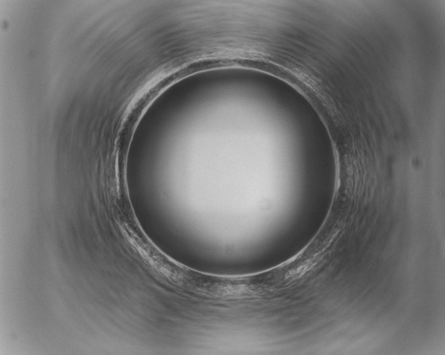 X0000057080982200509091243