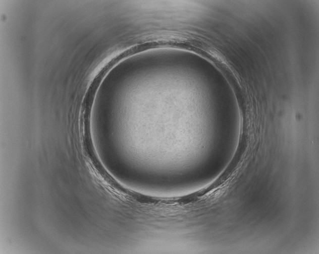 X0000057080983200509091243