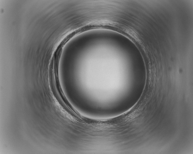 X0000057080984200509091243