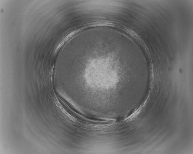 X0000057080985200509091243