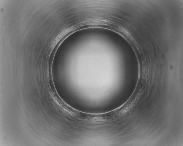 X0000057080986200509091243