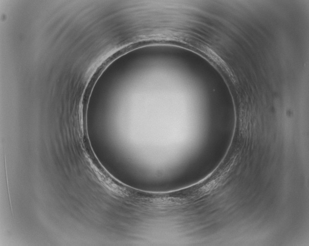 X0000057080988200509091243