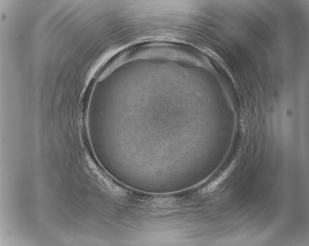 X0000057080989200509091243