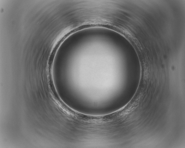 X0000057080990200509091243