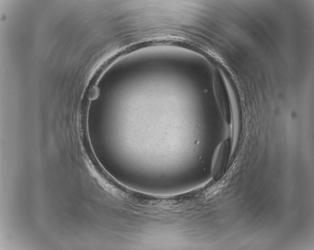 X0000057080991200509091243