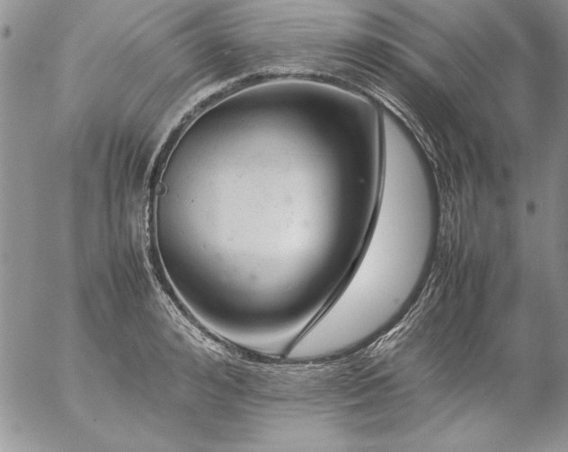 X0000057080992200509091243