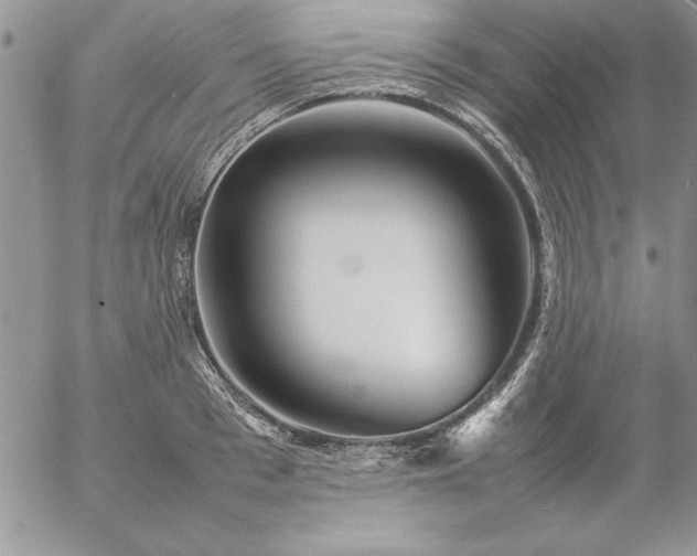 X0000057080993200509091243