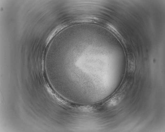 X0000057080994200509091243