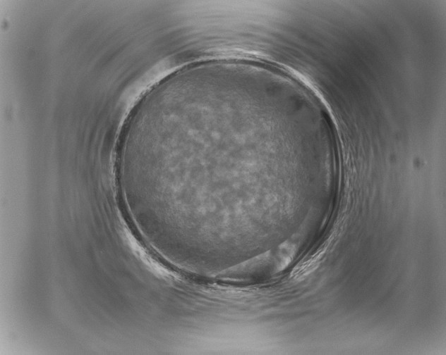 X0000057080995200509091243