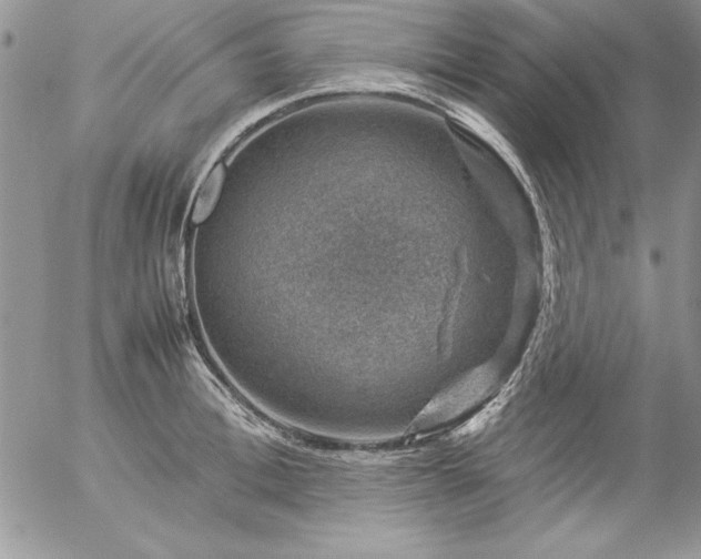 X0000057080996200509091243