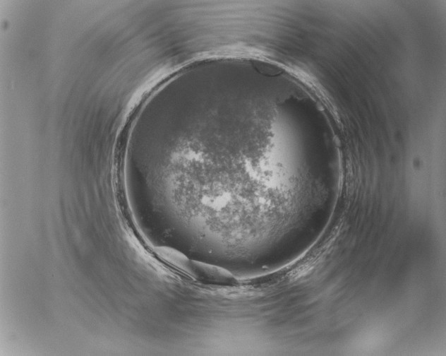 X0000057080998200509091243