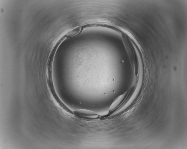 X0000057080999200509091243