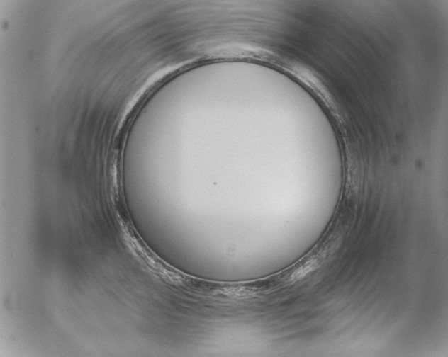 X0000057081000200509091243