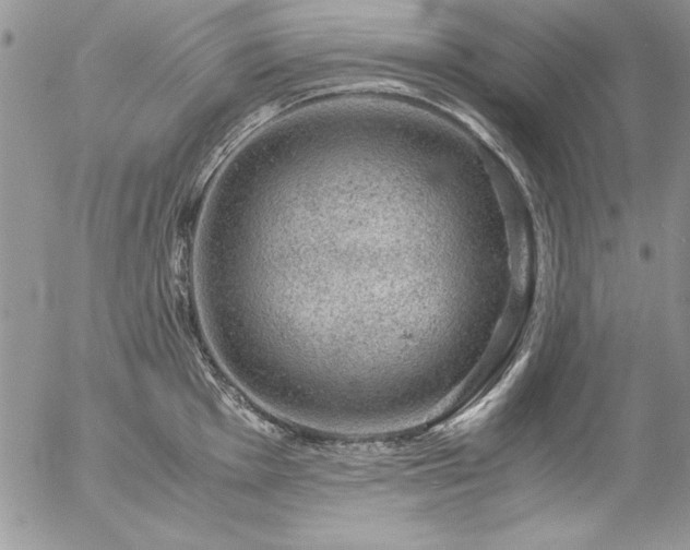 X0000057081001200509091243