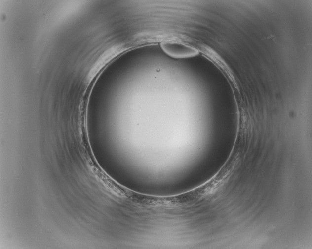 X0000057081002200509091243