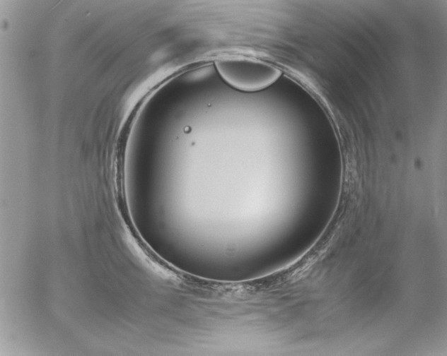 X0000057081003200509091243